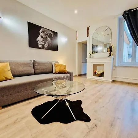 Appartamento L'eden, 4 Prs Avec Jardin En Centre Digione